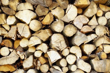 Doğranmış ahşap, yığılmış bir woodpile.