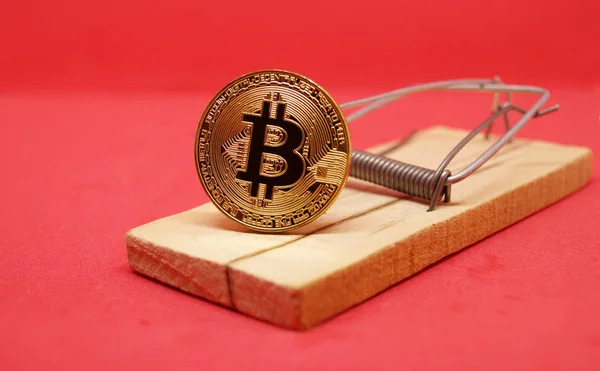 Kırmızı zemin üzerine altın bitcoin ile fare kapanı.