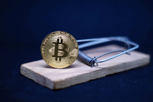 Siyah zemin üzerine altın bitcoin ile fare kapanı. Sabun köpüğü Kripto para birimi. Riskler ve tehlikeler bitcoin için yatırım.
