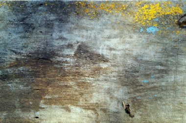 Eski ahşap yüzey liken ile kaplı.