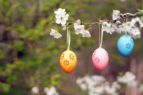Three decorative Easter eggs hanging on blooming branch. — Stock Photo, Image