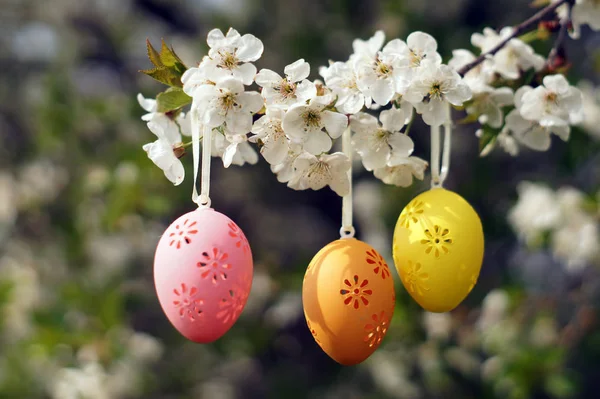 Three decorative Easter eggs hanging on blooming branch. — Stock Photo, Image