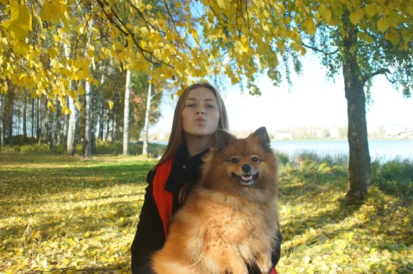 Pasear al perro son mejores amigos, emociones positivas, día de otoño de —  Fotos de Stock