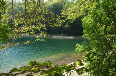 Gölde Dağları Biogradska Gora Milli Parkı, Karadağ