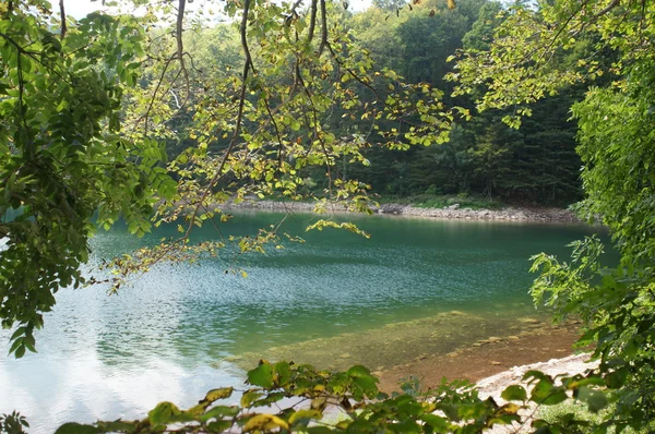 Lake in het natuurpark bergen Biogradska Gora, Montenegro — Stockfoto