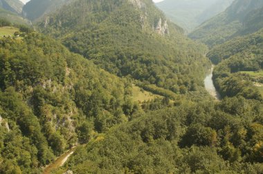 Büyük Kanyon, dağ nehir Dalin alt