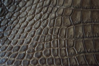 Siyah timsah deri doku. Yüksek çözünürlüklü fotoğraf.