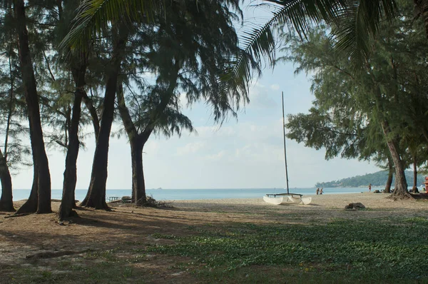 Den vita katamaranen förankrade nära stranden — Stockfoto