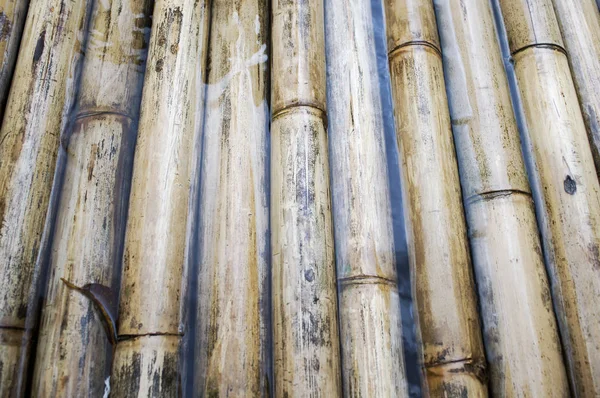 Madera de bambú resistente, una balsa hecha de, fondo — Foto de Stock