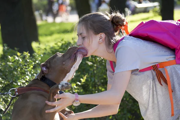 Bertemu seorang gadis muda di taman dengan anjing — Stok Foto