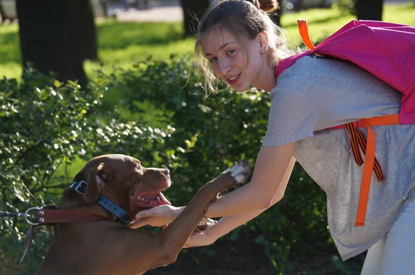 Conocer a una joven en el parque con el perro — Foto de Stock