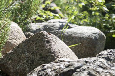 güneşin bir yaz gününde büyük bir kaya