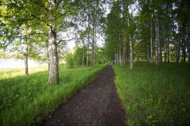 Yaz aylarında gün batımında koşu bandı
