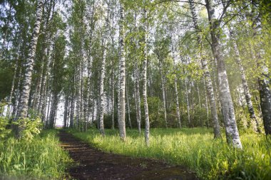 Yaz aylarında gün batımında koşu bandı