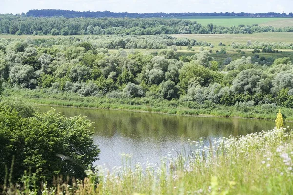 yaz çim gökyüzü ve nehir karşı çeşitli