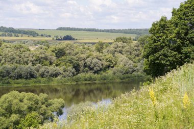 yaz çim gökyüzü arka plan üzerinde çeşitli