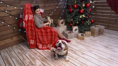 Bir kız ve köpeği köknar ağacı altında istirahat