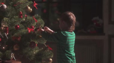 İki erkek bir Noel köknar ağacı süsleme