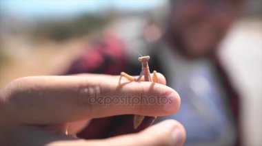 Elinde küçük bir dua eden peygamber devesi