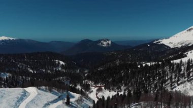 Karlı kış orman dron hava
