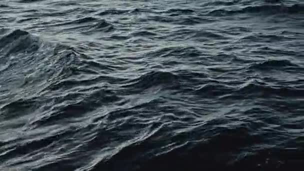 Dark gloomy waves of cold north sea. Arctic cruise to Nothern side, Antarctica. Waves rippling on water surface. Exclusive documentary footage Filmed RED camera during scientific expedition to Norway — Stock Video