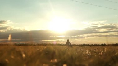 Hippi kız elinde gitarıyla buğday tarlasında yürüyor. Akustik enstrümanlı kadın doğanın ve güneş ışığının tadını çıkarıyor. İnsanlar, yaşam tarzı, öğrenci, ifade ve tarz kavramı