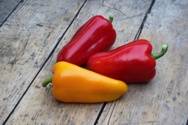 Tatlı biber kurullarında