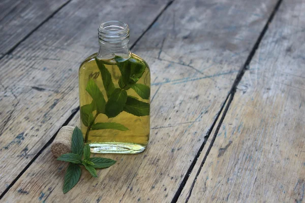The bottle with the infusion of mint — Stock Photo, Image