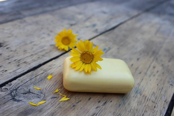 Naturalne mydło i kwiatów rumianku — Zdjęcie stockowe