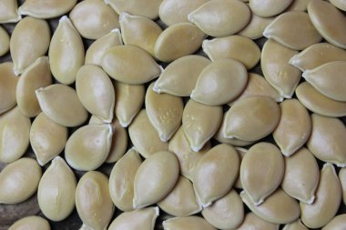 Kabak Çekirdeği arka planı