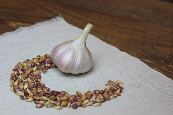 Garlic with seeds on linen cloth — Stock Photo, Image