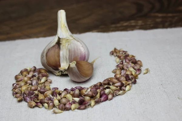 Garlic with seeds on linen cloth — Stock Photo, Image