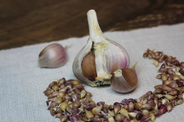 Garlic with seeds on linen cloth — Stock Photo, Image