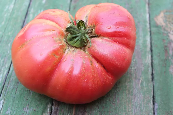 Органические помидоры на доске — стоковое фото