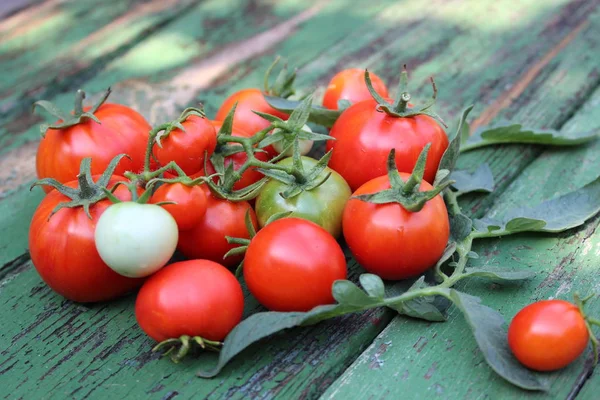 Organic tomatoes on the boards — Stock Photo, Image