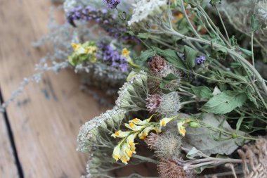 kurutulmuş şifalı otlar