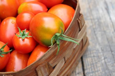 Sepet içinde olgun domates