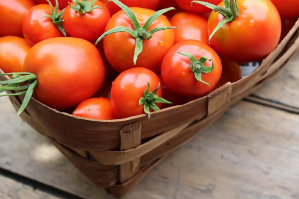 Спелые помидоры в корзине — стоковое фото