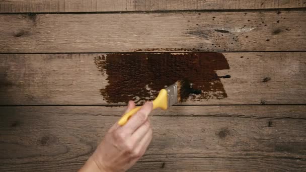 Diseñador pintando mesa de madera — Vídeo de stock