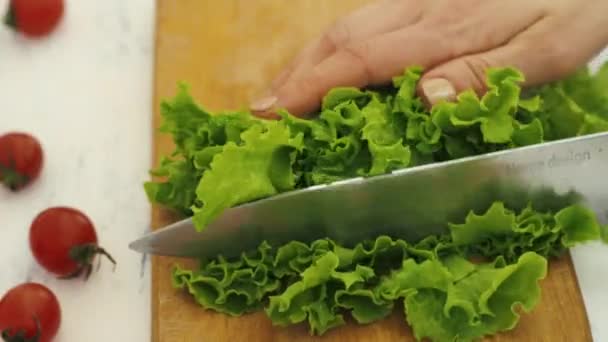 Preparación de ensaladas en cocina — Vídeo de stock