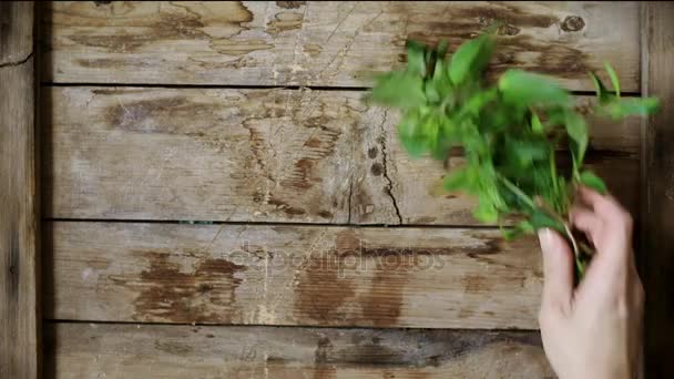 Herbs and flowers on rustic background — Stock Video