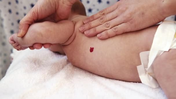 生まれたばかりの赤ちゃんの血管を調べる医師外科医 — ストック動画