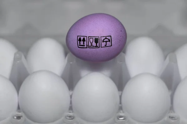 Bir leylak tavuk yumurta üzerinde etiketleme. Kırılgan ya da kırılgan kargo.