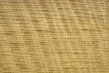 Ahşap sequoi bir doku Frisse ile gelen kaplama. Zemin veya ahşap arka plan.