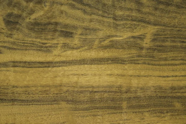 Fineer gemaakt van Imbai hout. Achtergrond houten. — Stockfoto