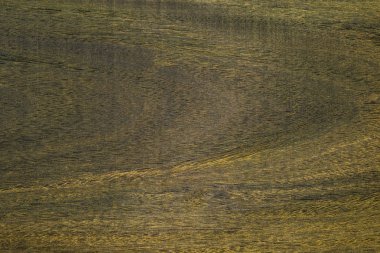 Ahşap kaplama IPE ağaç. Zemin ahşap.