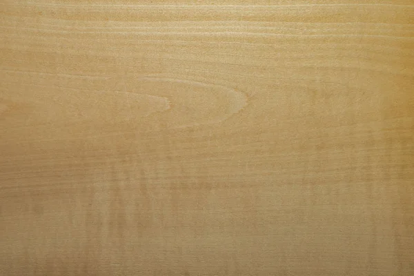 Fineer perenboom. Achtergrond houten. — Stockfoto