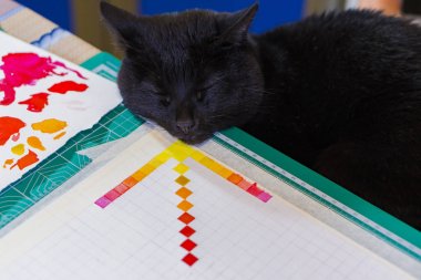 Kedinin kafasını bitmemiş çizimdeki koydu..