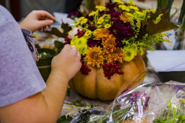Hazırlık buket kabak vazolar içinde. Çiçekçi bir kabak Cadılar Bayramı için hazırlanıyor.