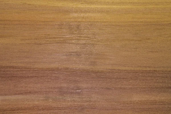 Фон или фон деревянный. Шпоновый кедр . — стоковое фото